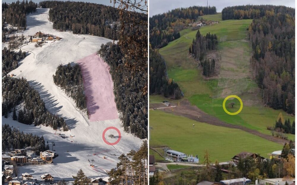 Neben der Erta-Piste (links) ist rechts ein neuer Abschnitt (rosa eingefärbt) mit dem Namen Sorega entstanden. Stehen bleiben durfte hingegen der Kirschbaum (eingekreist), so etwas wie das Wahrzeichen dieses Gebietes. – Fotos: Facebook / Ski World Cup Kronplatz